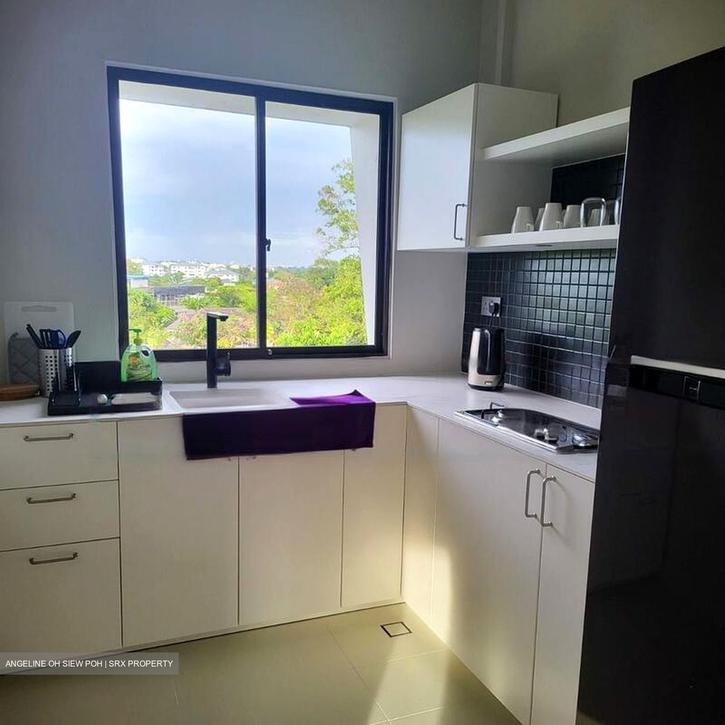 Holland Rise (D10), Apartment #625043721